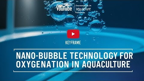 Nano-bubble Technology for Enhanced Oxygenation in Aquaculture