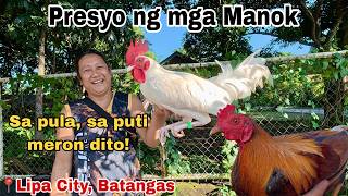 September 19, 2026 Update Sa Presyo Ng Manok Sa Batangas