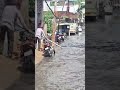 बारिश से सुल्तानपुर में जलभराव, घरों में घुसा पानी  नगर पालिका के दावों पर सवाल