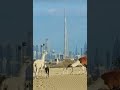 Ламы наследного принца Дубая на фоне Downtown