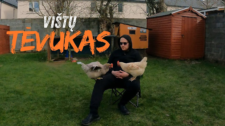 Vištų dresiravimas ir auginimas iš miestiečio perspektyvos