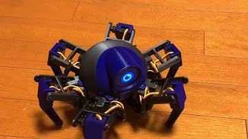 M5Stamp C3 with Round LCD HEXAPOD Robot