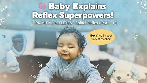 PRIMITIVE REFLEXES ( Part 1): spinal Reflex