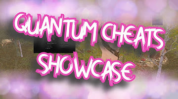 rust quantum cheats showcase