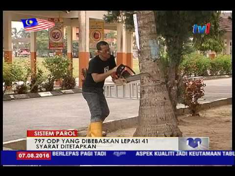 Video: Apakah yang dimaksudkan dengan pelepasan parol?