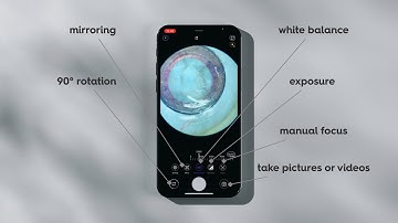 MicroREC app: The all-in-one application for your microscopic data