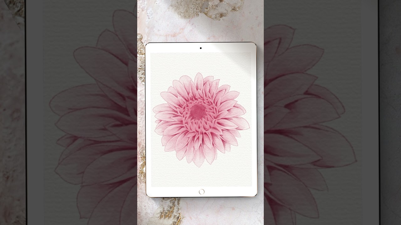Watercolour Dahlia Painting - Procreate Timelapse