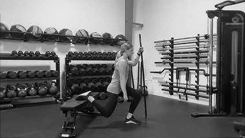 Hand Supported Suitcase Rear Foot Elevated Split Squat