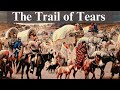 The Trail of Tears | History In A Nutshell #trailoftears #andrewjackson #nativeamerican #cherokee