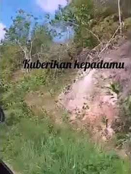 Story Wa Bunga Edelweis