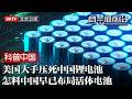 80%锂资源依赖进口，美国大手压死中国电池！没想到中国早有新布局，活体电池即将出世…【科普中国直击最前沿】