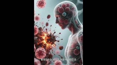 🕊️ “젊음은 선택입니다 — 세포가 웃는 노화 방지 습관 3가지”