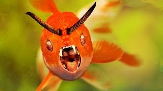 TB-303 Devil Fish