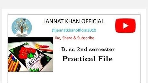 Bsc 2nd semester Botany practical file