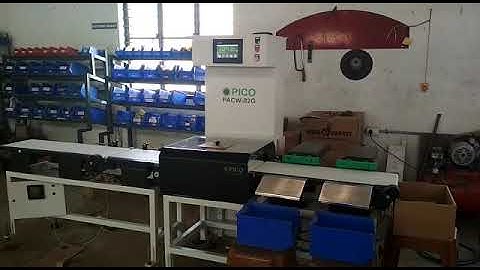 Check weighing system with spacing conveyor-Pico Automation