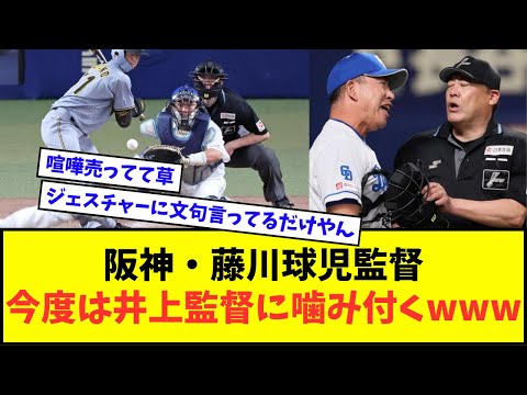 阪神・藤川球児監督、今度は井上監督に噛み付くwwwww【なんJ反応】【プロ野球反応集】
