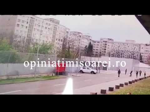 A fost filmat momentul crimei sangeroase intre migranti de la Timisoara