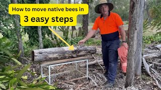 Moving the Australian Native bees in 3 steps