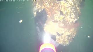 DiveWise Equipment CW202 ROV Zero-thrust Cavitation Cleaning Lance (Max. 80 LPM at 300 bar)