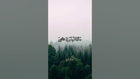 قالَ رَبِّ إِنِّي دَعَوْتُ قَوْمِي لَيْلاً وَنَهاراً#قرآن  إعراب سورة نوح الآية(5)#قرآن #ارح_قلبك 😴🎧