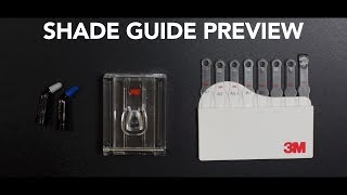 Custom Shade Guide For Teeth (3M Products)