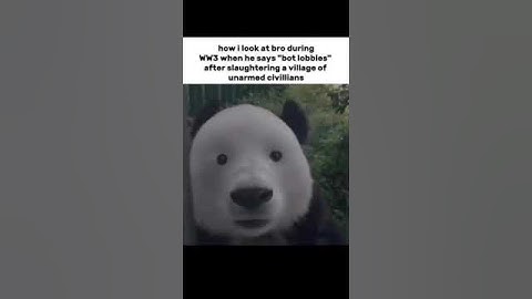 How I look at my bro during #ww3 Latest meme 2024