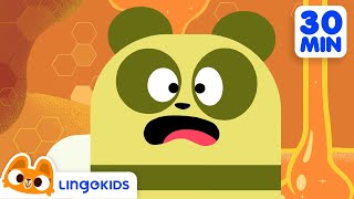 BEES DINOSAURS AND MORE FUN CARTOONS  Science for Kids | Lingokids