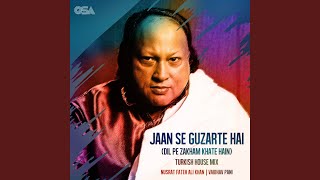 Jaan Se Guzarte Hai (Turkish House Mix / Dil Pe Zakham Khate Hain)