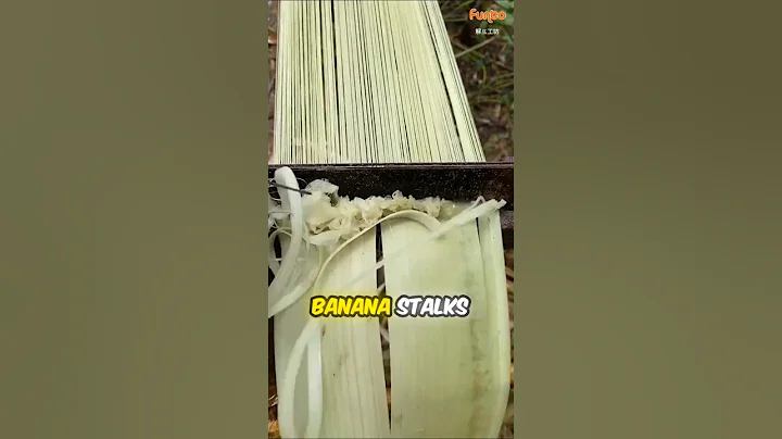 Turning Banana Trees into Fiber Threads!