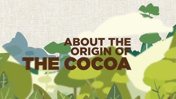What makes our sustainable cocoa sourcing model so unique?