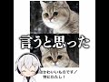 【特にわたし】殿堂入りボケてがマジでツッコミどころ満載だったwww【2254弾】