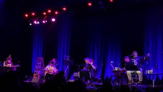 Watch Magnetic Fields Love In The Shadows video