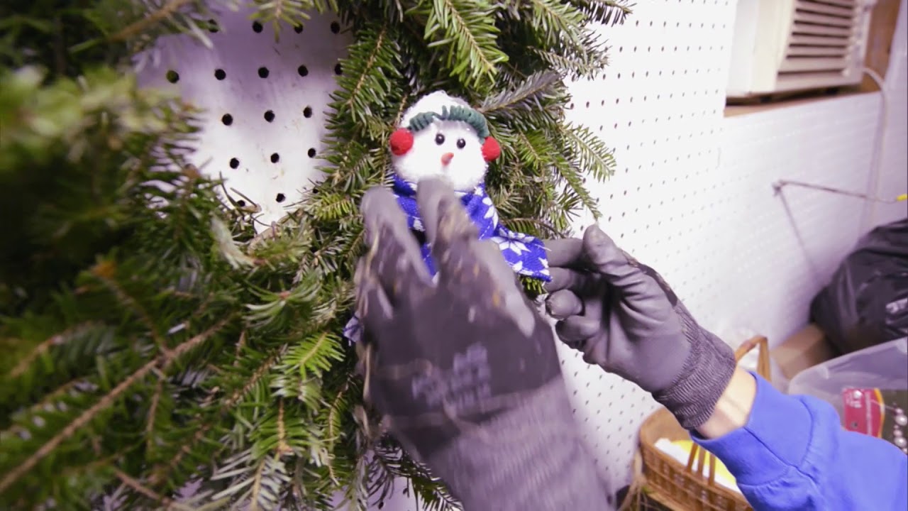 Maryland Farm & Harvest: Blue Heron Christmas Tree Farm - YouTube