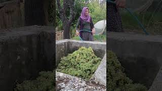 Üzüm Nasıl Bekmez Olur