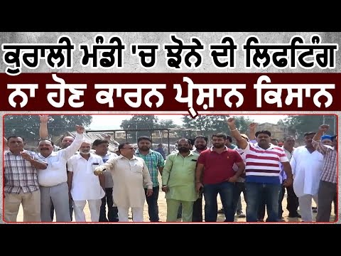 Kurali में धान की Lifting ना होने के कारण किसानों ने किया रोष प्रदर्शन