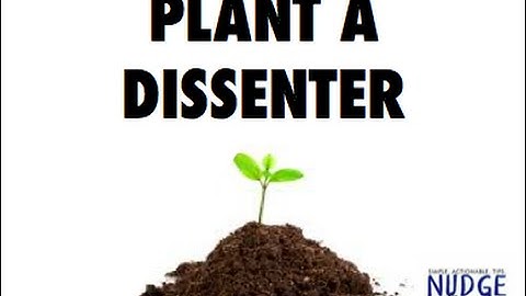 Weekly Nudge 40 - Plant a Dissenter