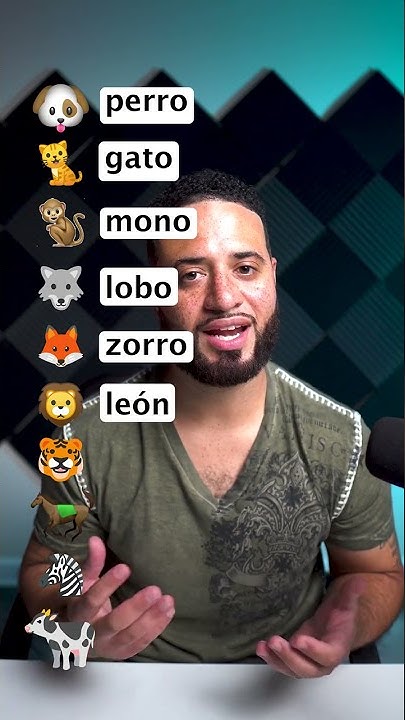 Learn Spanish Animals Names In Spanish YouTube learn-spanish-animals-names-in-spanish-youtube