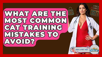 What Are The Most Common Cat Training Mistakes To Avoid? - Ask A Pet Vet