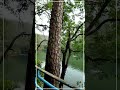 #Bhimtal #Nainital┃#Shorts
