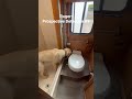 Prospective Detection Canine Ruger | U.S.-Bred Registered Labrador Retriever