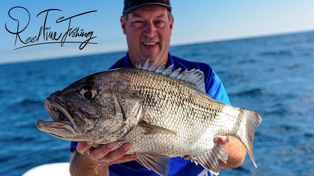 Bottom Fishing W/ The Captain of Reel Time