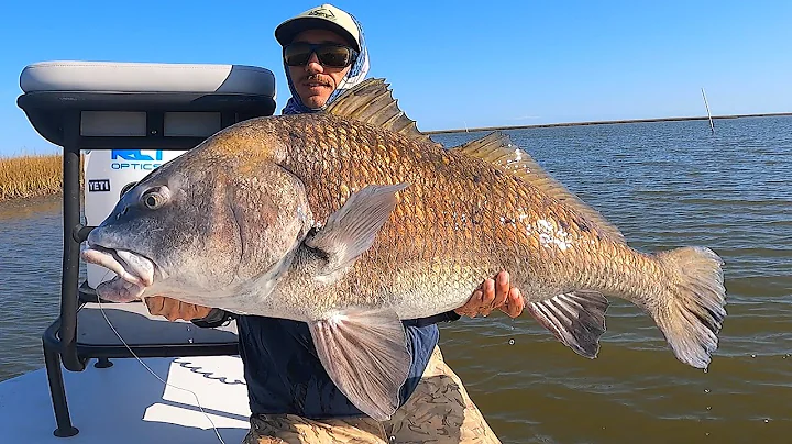 Fly fishing for Bull Redfish & HUGE drum in Louisiana (Catch, clean, cook)