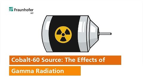 Cobalt-60 Source: The Effects of Gamma Radiation