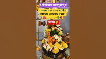 4 अगस्त सावन के आखिरी सोमवार का विशेष उपाय #shorts#youtubeshorts#pradeepmishra #sawan#somwarkaupay