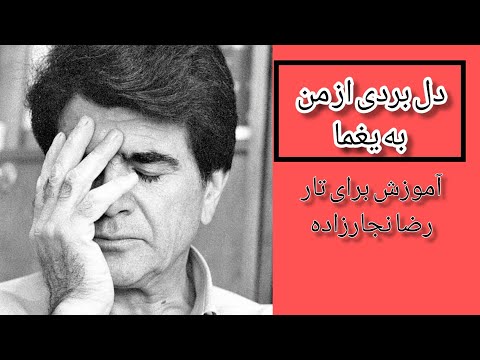 دل بردی از من به یغما ای ترک غارتگر من آموزش تصنیف برای تار رضا نجارزاده محمدرضا شجریان