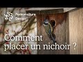 Comment installer correctement des nichoirs  oiseaux 