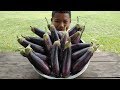 EGG PLANT !! Very Tasty Egg Plant Stir Fried Beef | Egg Plant Cooking Recipe