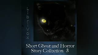 Short horror stories, collection 3, part 1/Ghost stories