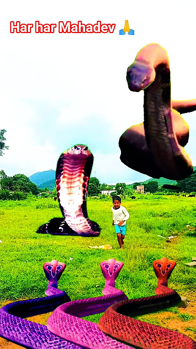 har har Mahadev #hara #hara #shambhu #trending #shorts #vfx #viralvideo