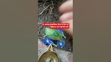 26 अगस्त हरतालिका तीज के उपाय#trending short Katha#pandit Pradeep Mishra ji ke upay